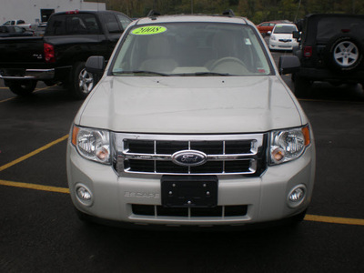 ford escape 2008 tan suv xlt gasoline 6 cylinders all whee drive automatic with overdrive 13502