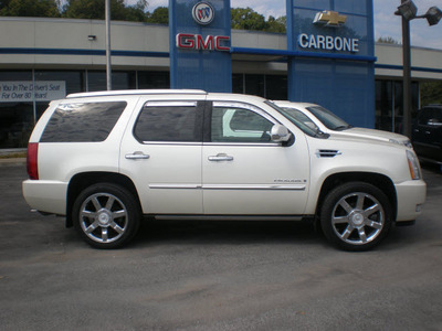 cadillac escalade 2007 white suv gasoline 8 cylinders all whee drive automatic 13502