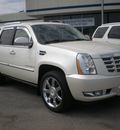 cadillac escalade 2007 white suv gasoline 8 cylinders all whee drive automatic 13502