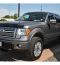 ford f 150 2010 silver platinum flex fuel 8 cylinders 4 wheel drive automatic with overdrive 99352