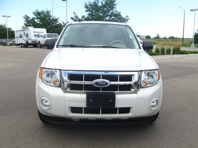 ford escape 2009 white suv xlt gasoline 6 cylinders 4 wheel drive automatic 80504