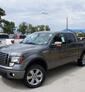 ford f 150 2011 gray fx4 flex fuel 8 cylinders 4 wheel drive automatic 76205