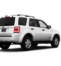 ford escape 2008 white suv xlt gasoline 6 cylinders all whee drive not specified 80126