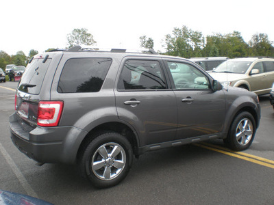 ford escape 2010 gray suv limited flex fuel 6 cylinders all whee drive automatic 13502