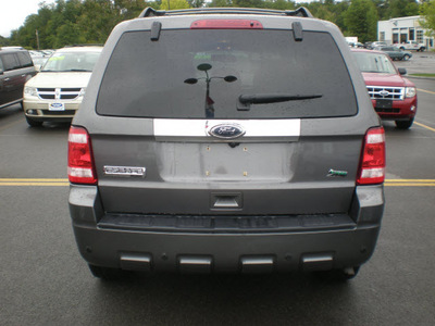 ford escape 2010 gray suv limited flex fuel 6 cylinders all whee drive automatic 13502