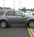 ford escape 2010 gray suv limited flex fuel 6 cylinders all whee drive automatic 13502