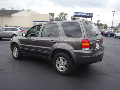 ford escape 2005 dk  gray suv limited gasoline 6 cylinders all whee drive automatic 45324