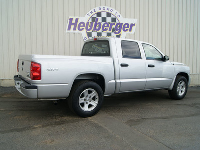 dodge dakota 2010 bright silver big horn gasoline 6 cylinders 4 wheel drive automatic 80905