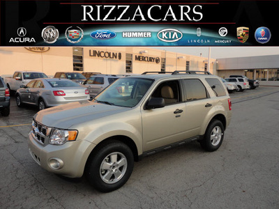 ford escape 2012 gold suv xlt gasoline 4 cylinders front wheel drive automatic with overdrive 60546