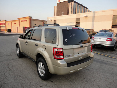 ford escape 2012 gold suv xlt gasoline 4 cylinders front wheel drive automatic with overdrive 60546