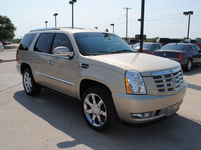 cadillac escalade 2008 gold suv gasoline 8 cylinders all whee drive automatic 76087