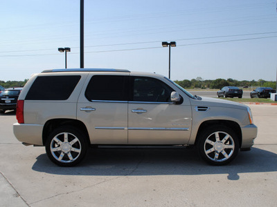 cadillac escalade 2008 gold suv gasoline 8 cylinders all whee drive automatic 76087