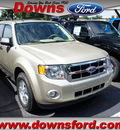 ford escape 2012 gold suv xlt gasoline 4 cylinders front wheel drive automatic with overdrive 08753