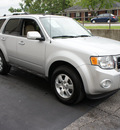 ford escape 2010 silver suv flex fuel 6 cylinders front wheel drive automatic 47130