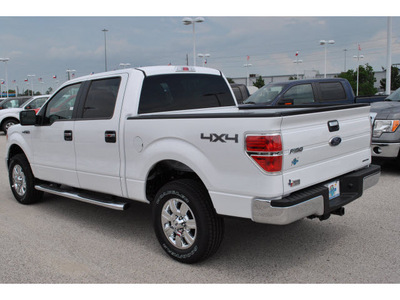 ford f 150 2011 white xlt v8 4 wheel drive automatic 77388