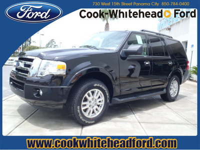 ford expedition 2011 black suv xlt flex fuel 8 cylinders 2 wheel drive automatic 32401