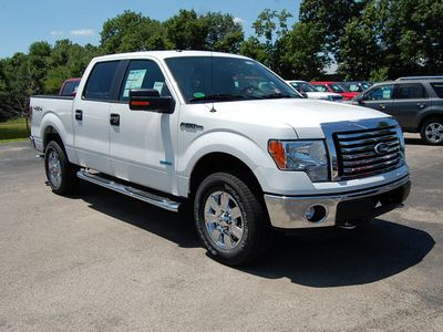 ford f 150 2011 white xlt gasoline 6 cylinders 4 wheel drive automatic 46168