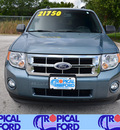 ford escape 2010 blue suv xlt flex fuel 6 cylinders front wheel drive automatic 32837