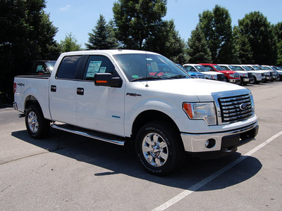 ford f 150 2011 white xlt gasoline 6 cylinders 4 wheel drive automatic 46168