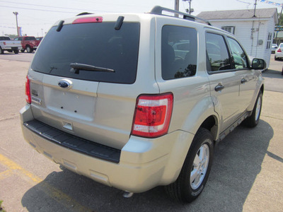 ford escape 2010 gold suv xlt 4x4 gasoline 4 cylinders all whee drive automatic 62863