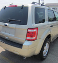 ford escape 2010 gold suv xlt 4x4 gasoline 4 cylinders all whee drive automatic 62863