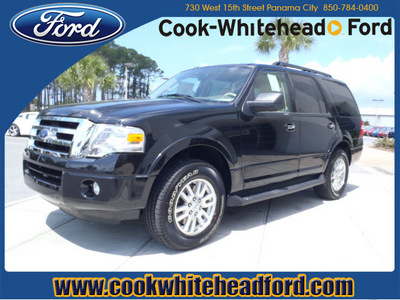 ford expedition 2011 black suv xlt flex fuel 8 cylinders 2 wheel drive automatic 32401