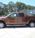 ford f 150 2011 brown xlt gasoline 6 cylinders 2 wheel drive automatic 32401