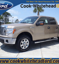 ford f 150 2011 lt  gray xlt 8 cylinders 4 wheel drive automatic 32401