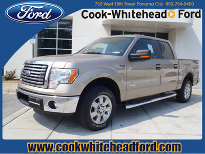 ford f 150 2011 lt  gray xlt gasoline 6 cylinders 2 wheel drive automatic 32401