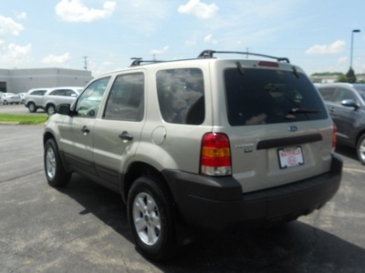 ford escape 2005 gold suv gasoline 6 cylinders all whee drive 4 speed automatic 43228