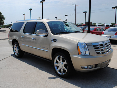 cadillac escalade 2009 gold suv 8 cylinders all whee drive automatic 76087