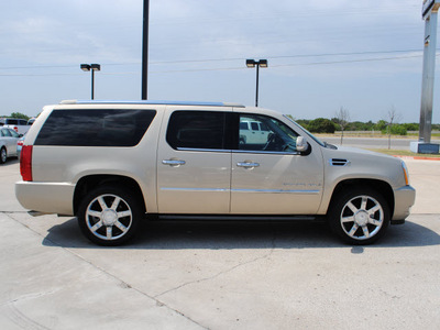 cadillac escalade 2009 gold suv 8 cylinders all whee drive automatic 76087