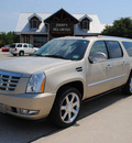 cadillac escalade 2009 gold suv 8 cylinders all whee drive automatic 76087