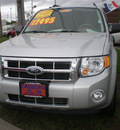 ford escape 2008 silver suv xlt gasoline 6 cylinders all whee drive automatic with overdrive 13502