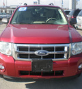 ford escape 2008 red suv xlt gasoline 6 cylinders all whee drive automatic with overdrive 13502