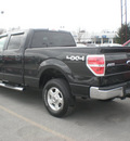 ford f 150 2010 black flex fuel 8 cylinders 4 wheel drive automatic 13502