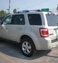 ford escape 2008 sage suv limited gasoline 6 cylinders all whee drive automatic with overdrive 13502