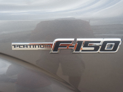 ford f 150 2010 silver platinum flex fuel 8 cylinders 4 wheel drive automatic 76108