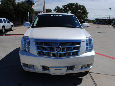 cadillac escalade hybrid 2010 white suv platinum edition hybrid 8 cylinders all whee drive automatic 76087