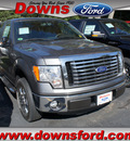 ford f 150 2011 gray xlt flex fuel 6 cylinders 2 wheel drive automatic with overdrive 08753