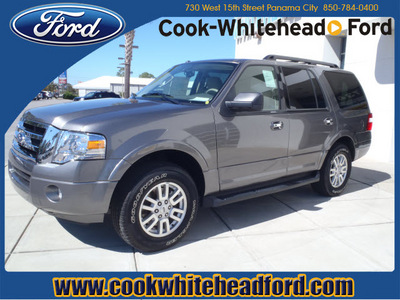 ford expedition 2012 gray suv xlt flex fuel 8 cylinders 2 wheel drive automatic 32401