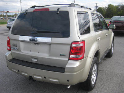 ford escape 2012 gold suv limited flex fuel 6 cylinders front wheel drive 6 speed automatic 62863