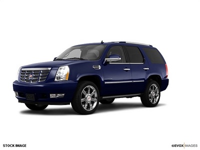 cadillac escalade 2010 suv luxury flex fuel 8 cylinders all whee drive 6 speed automatic 55313