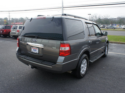 ford expedition 2010 dk  gray suv xlt flex fuel 8 cylinders 4 wheel drive automatic with overdrive 08753