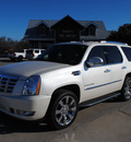 cadillac escalade 2008 white suv gasoline 8 cylinders rear wheel drive automatic 76087