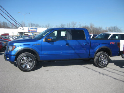 ford f 150 2012 blue fx4 gasoline 6 cylinders 4 wheel drive 6 speed automatic 62863