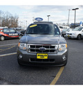 ford escape 2010 sterling grey suv xlt flex fuel 6 cylinders front wheel drive automatic with overdrive 07724