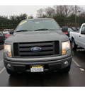 ford f 150 2009 dk  gray stx gasoline 8 cylinders 4 wheel drive automatic with overdrive 08902