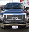 ford f 150 2010 black flex fuel 8 cylinders 2 wheel drive automatic 79925