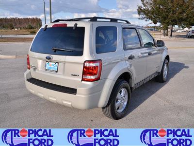ford escape 2008 silver suv xlt gasoline 6 cylinders all whee drive automatic 32837